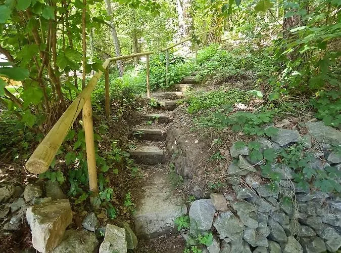 Zorka Апартаменты *